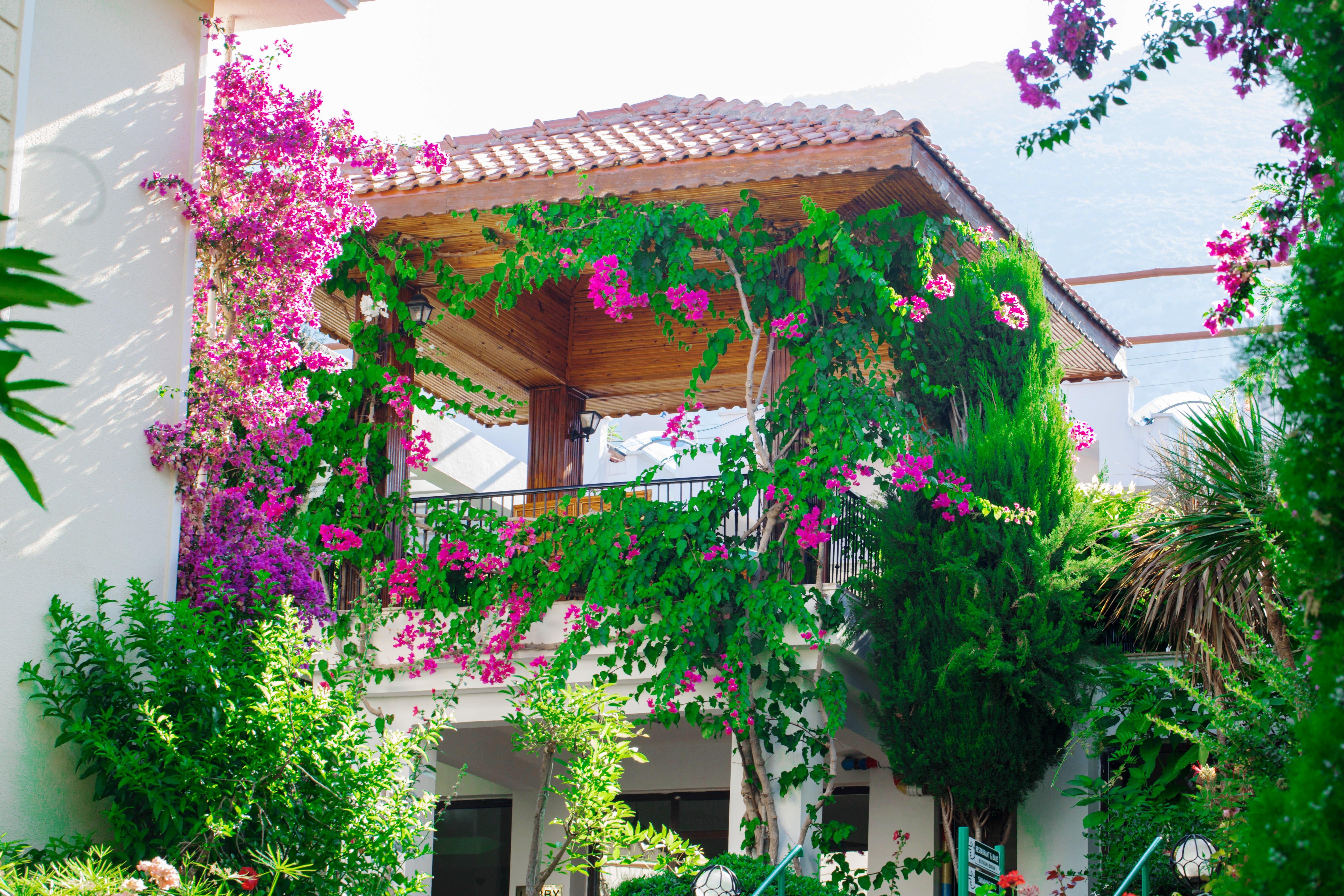Yel Holiday Resort Oludeniz Eksteriør bilde